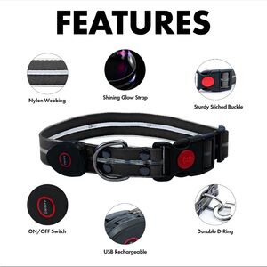 Flashing light dog collar. Has 3 speeds-Fast, medium and solid